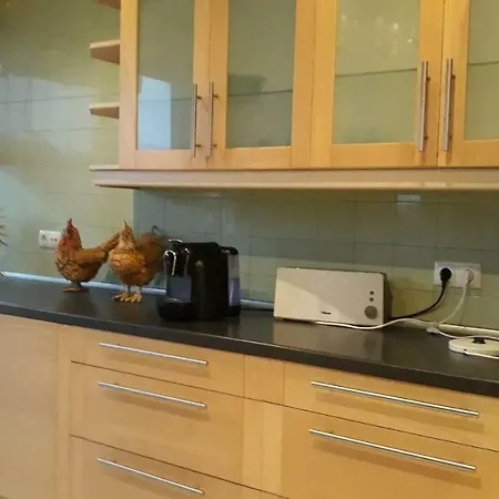 @airport * ליסבון